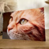 ChromaLuxe Fototafel – Bild 3