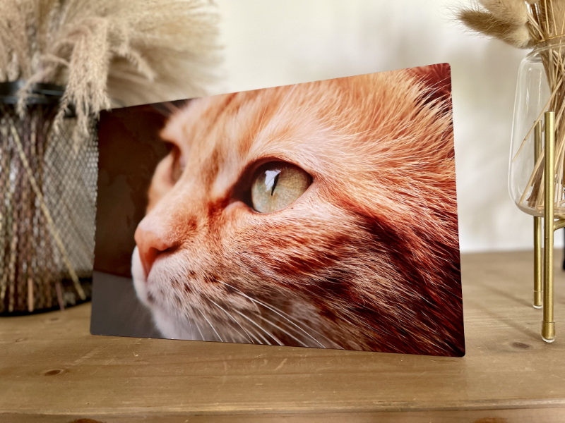 ChromaLuxe Fototafel – Bild 3