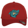Flexfit Cap 5-Panel – Bild 4