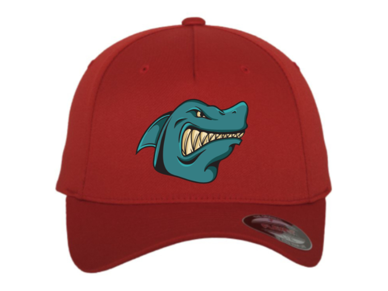 Flexfit Cap 5-Panel – Bild 4