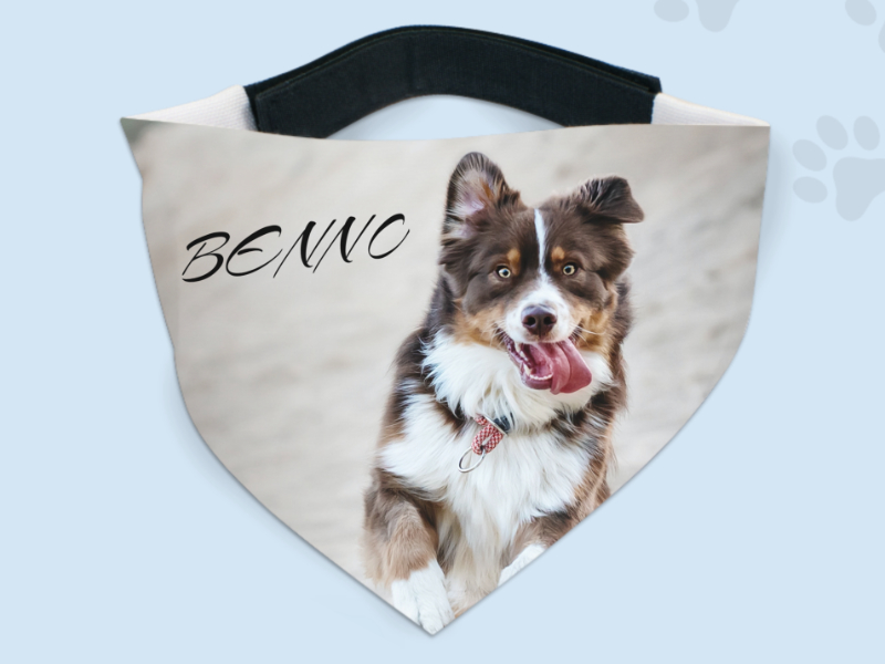 Hundehalstuch – Bild 3