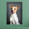 Fine Art Fotoprint – Bild 2