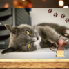 Fotoaufsteller Katze – Bild 3