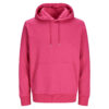 JACK & JONES BLANKS - Hoodie
