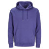 JACK & JONES BLANKS - Hoodie